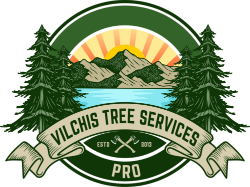 Vilchis Tree Service Pros of Acworth Sees Surge in Positive Online Reviews, Reflecting Growing Customer Satisfaction